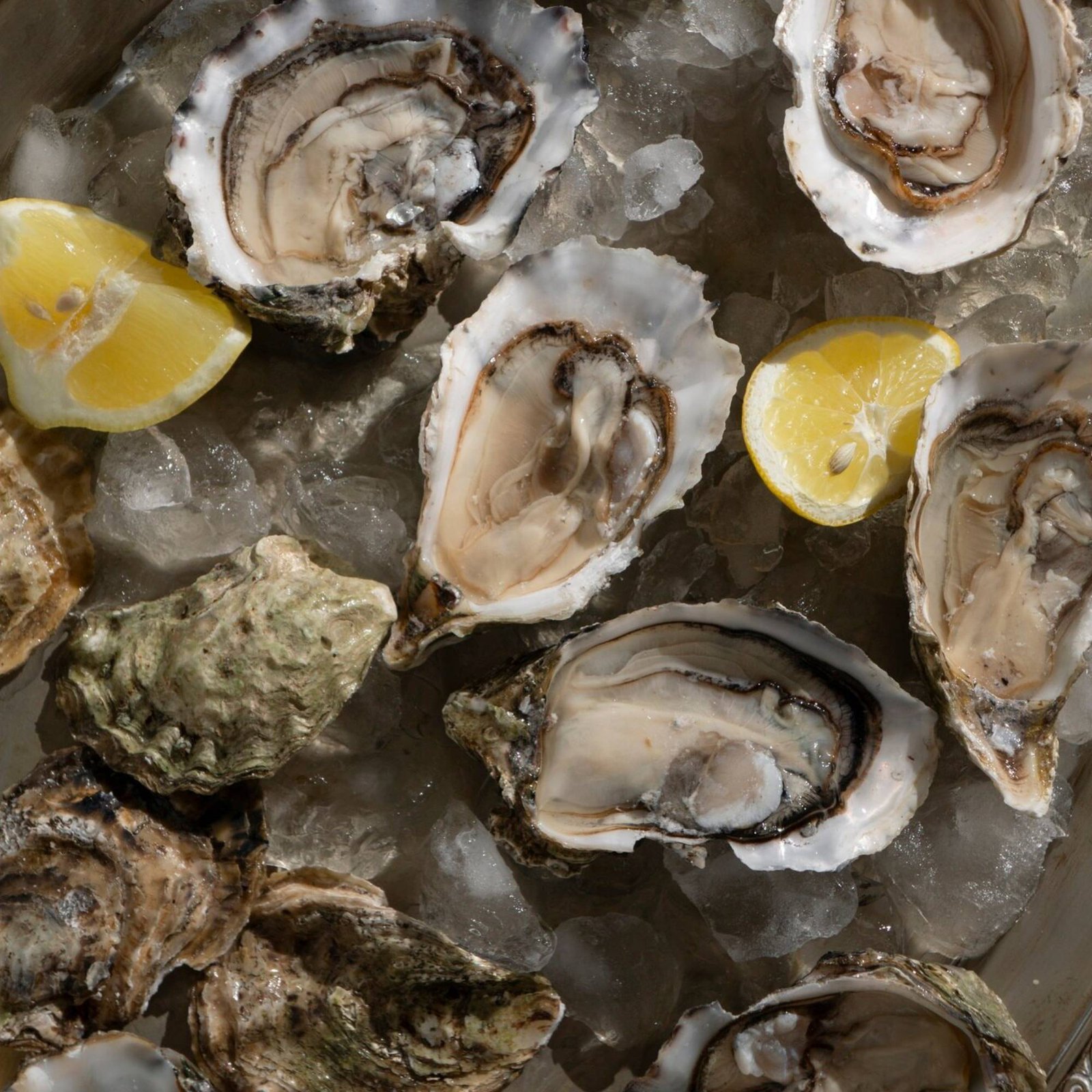 Almeja Fina Fresca - Imagen 2