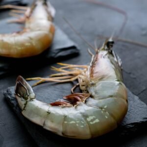 Gamba Blanca Fresca